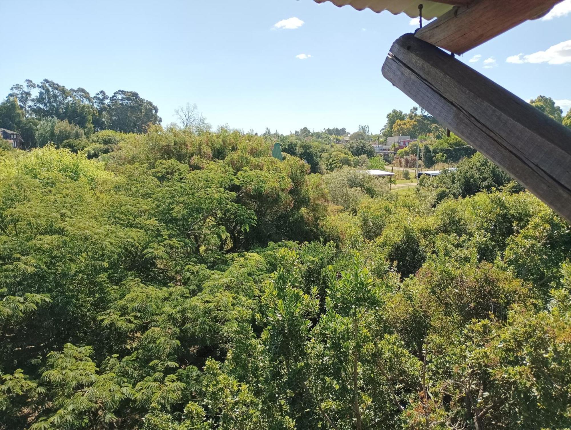 Casas Punta Negra Villa Piriápolis Екстериор снимка